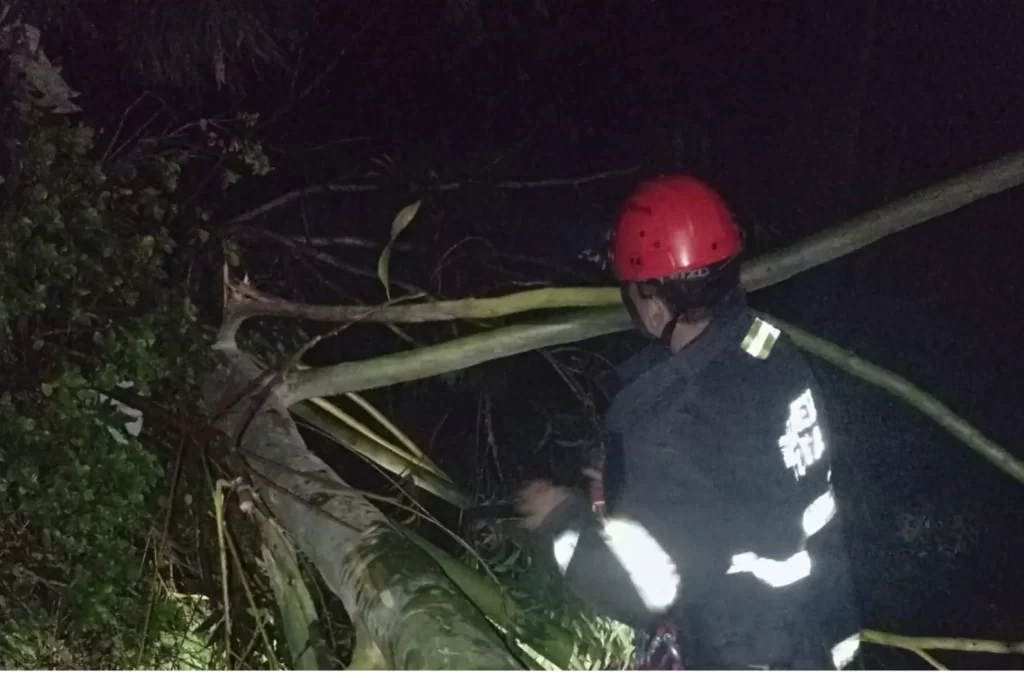 Árvore cai em cima de casa e mobiliza bombeiros em Sombrio
