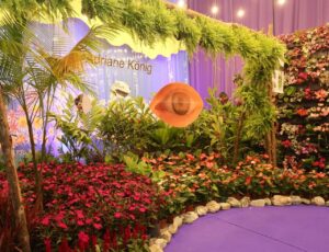 Associação doa plantas para hospitais e entidades em Joinville