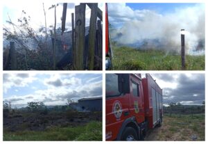 Bombeiros Voluntários alertam sobre riscos de queimadas em vegetação na região de Jaguaruna