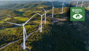 ODS 13 em Ação: COP 29 e o papel das empresas na era do clima extremo