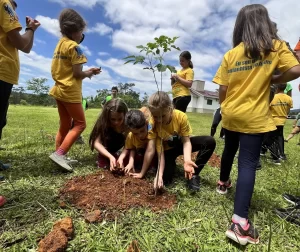 Reserva Biológica no Sul do Estado recebe Acampamento Montanhistas do Futuro 2024