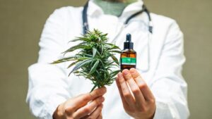 Uso terapêutico da Cannabis ainda enfrenta resistência no Sul de SC