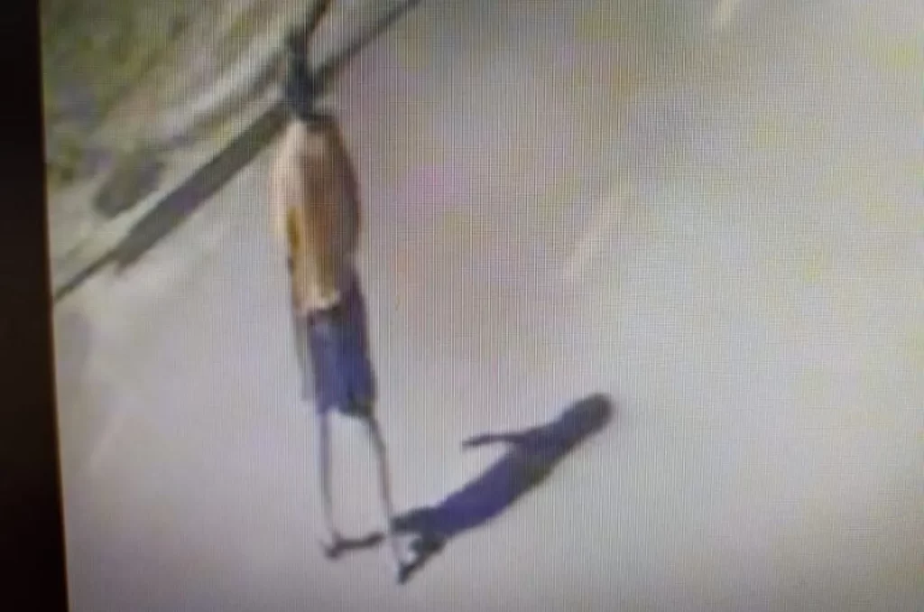 Suspeito de envenenar animais em São Martinho