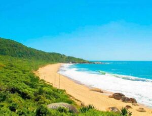 Relatório de balneabilidade aponta mais de 70% de praias próprias para banho em SC