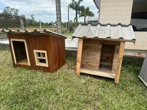 Cães de rua irão receber casinhas fabricadas por detentos da Penitenciária Sul