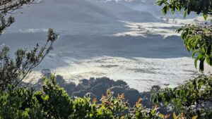 Geada surpreende São Joaquim e traz cenário de inverno em novembro