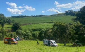 [VÍDEO] Idoso fica gravemente ferido durante corte de árvores no Oeste de SC