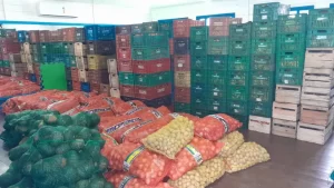 São José distribui 14 toneladas de alimentos e fortalece economia