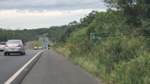Ainda não cortaram o mato da Via Rápida que liga Criciúma à BR-101