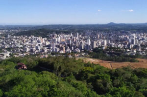 Desmatamento no Morro Cechinel ameaça fauna local e gera protestos