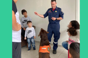 Bombeiros concluem participação na Operação Hagnos