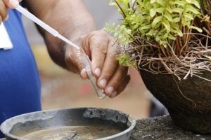 Ação contra dengue será promovida em Braço do Norte no próximo fim de semana