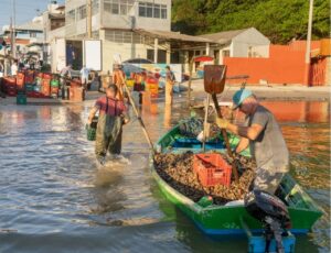 Fotógrafo registra o trabalho de maricultores de Bombinhas