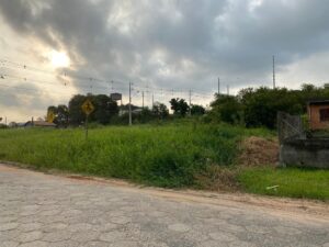 Proprietários de terrenos não conservados podem ser multados, alerta Fumaf