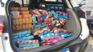 Polícia apreende 138 kg de maconha após denúncia em Florianópolis