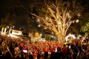 Palhoça já está iluminada e preparada para o Natal