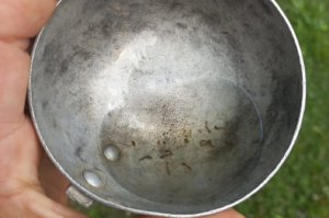Em uma semana, 7 focos do mosquito da dengue são encontrados em Gravatal