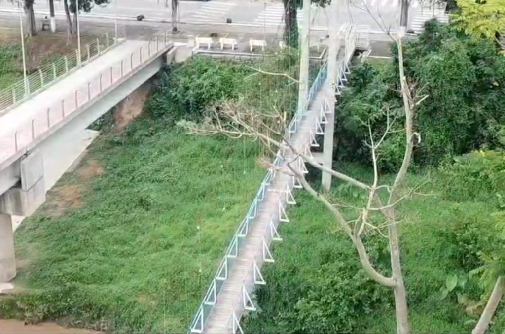 Galho sobre ponte pênsil preocupa moradores de Tubarão