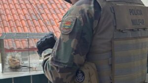 Polícia Ambiental resgata gambá em escola no centro de São José