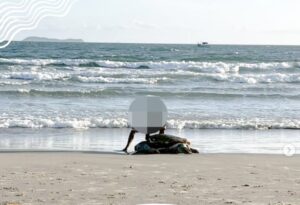 Em dois dias, tartarugas são encontradas mutiladas em praia de Garopaba