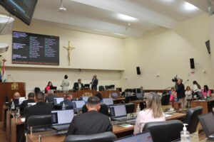 Vereadores aprovam lei de socorro obrigatório para animais