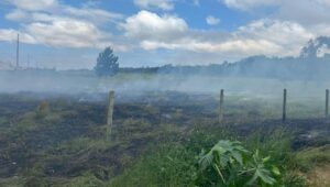 Incêndio em vegetação e entulho mobiliza equipe de socorro em Jaguaruna
