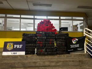 Polícia apreende 510 kg de maconha após fuga na SC-150