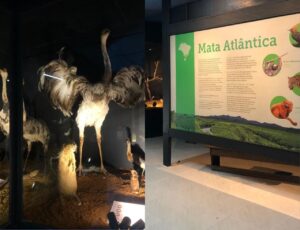 Exposição “Dando Forma à Pele” abre dia 30 em BC