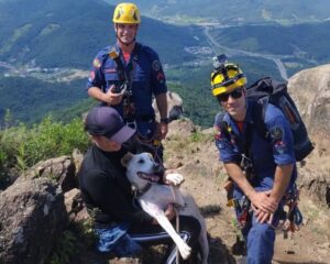 Bombeiros resgatam cão em penhasco no Morro da Pedra Branca
