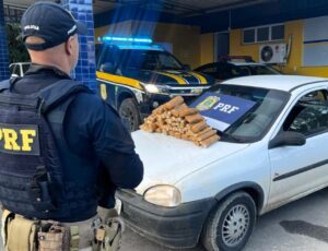 Jovem é preso com 23 kg de haxixe e skunk na BR-280