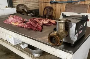 Justiça condena grupo por vender carne de cavalo no Sul de SC
