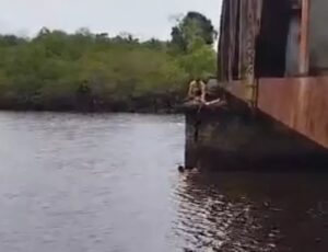 Mulher é salva por “cadarços de tênis” em Araquari