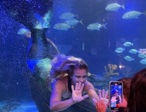 Oceanic Aquarium faz aniversário e os presentes vão pra você