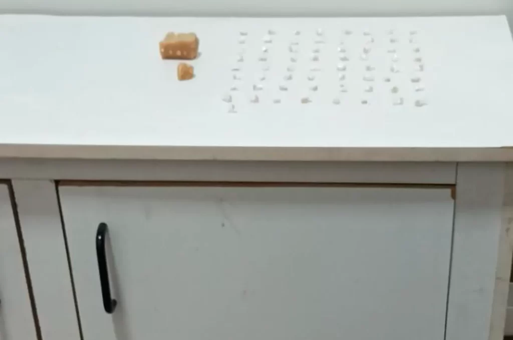 Droga apreendida pela Polícia Militar em Araranguá