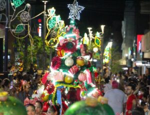 Programação do Natal EnCanto 2024 encerra neste sábado (21)