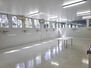 Hospital de São José ganha novos elevadores e UTI Neo renovada