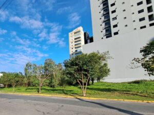 Leilão de imóveis do Governo de SC estima arrecadar mais de R$ 50 milhões nesta quinta-feira