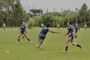 Leoas do Avaí Kindermann se preparam para estreia na Ladies Cup