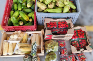 Programa do banco de alimentos de Tubarão recebe 12 toneladas em doações entre 2023 e 2024
