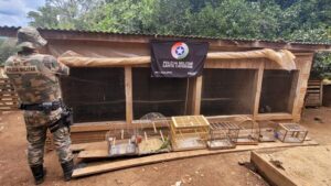 PM resgata 18 aves silvestres mantidas ilegalmente