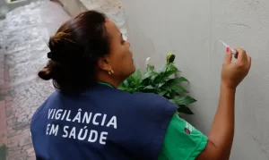 Dengue em 2024: Brasil soma 6,4 milhões de casos e 5,9 mil mortes