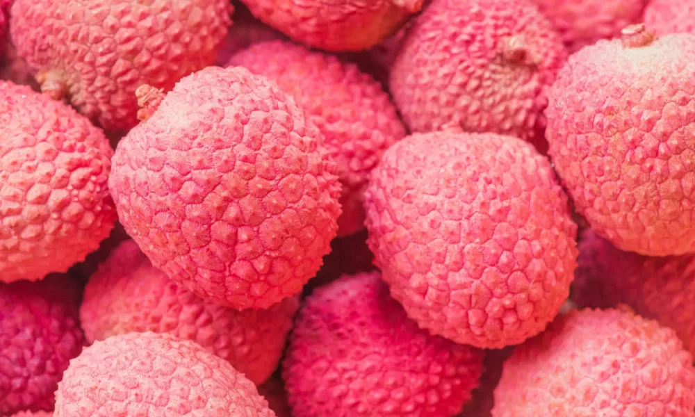 A fruta exótica que traz sabor e benefícios incríveis