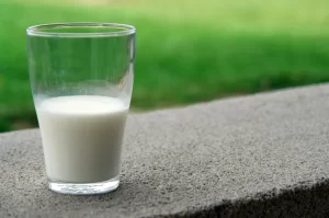 Bebidas vegetais: até que ponto são comparáveis ao leite?