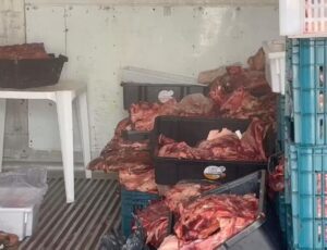 Vídeo: Carne podre virava charque em Itajaí