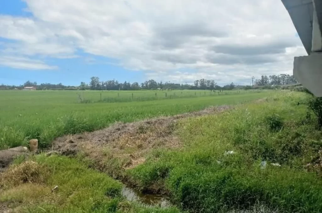 Local onde um corpo em decomposição foi encontrado em Araranguá