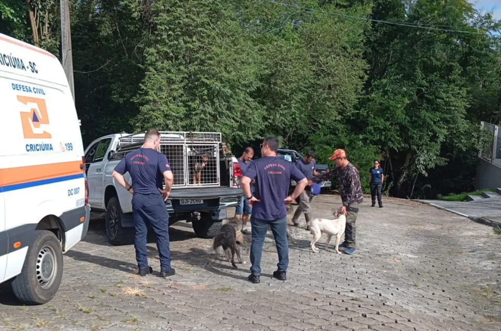 Captura de Javalis no bairro Pinheirinho, em Criciúma