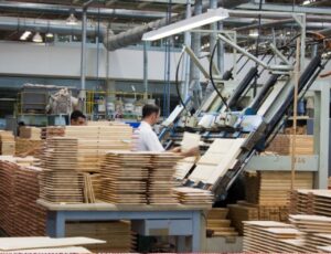 Exportações de SC somam US$ 11,7 bilhões em 2024