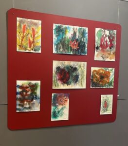 Mesc recebe exposição de 10 anos do Alvéolo