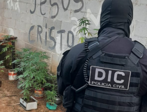Operação policial apreende drogas e mira suspeitos de roubos