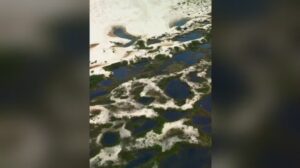 Chuvas criam lagoas nas dunas da Joaquina e atraem turistas